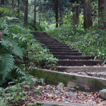 登山道（階段）の写真