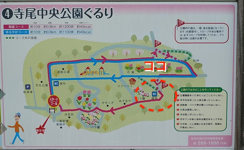 新潟市西区 寺尾中央公園 I Like Niigata