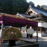 弥彦神社（菊まつり時期）の写真024