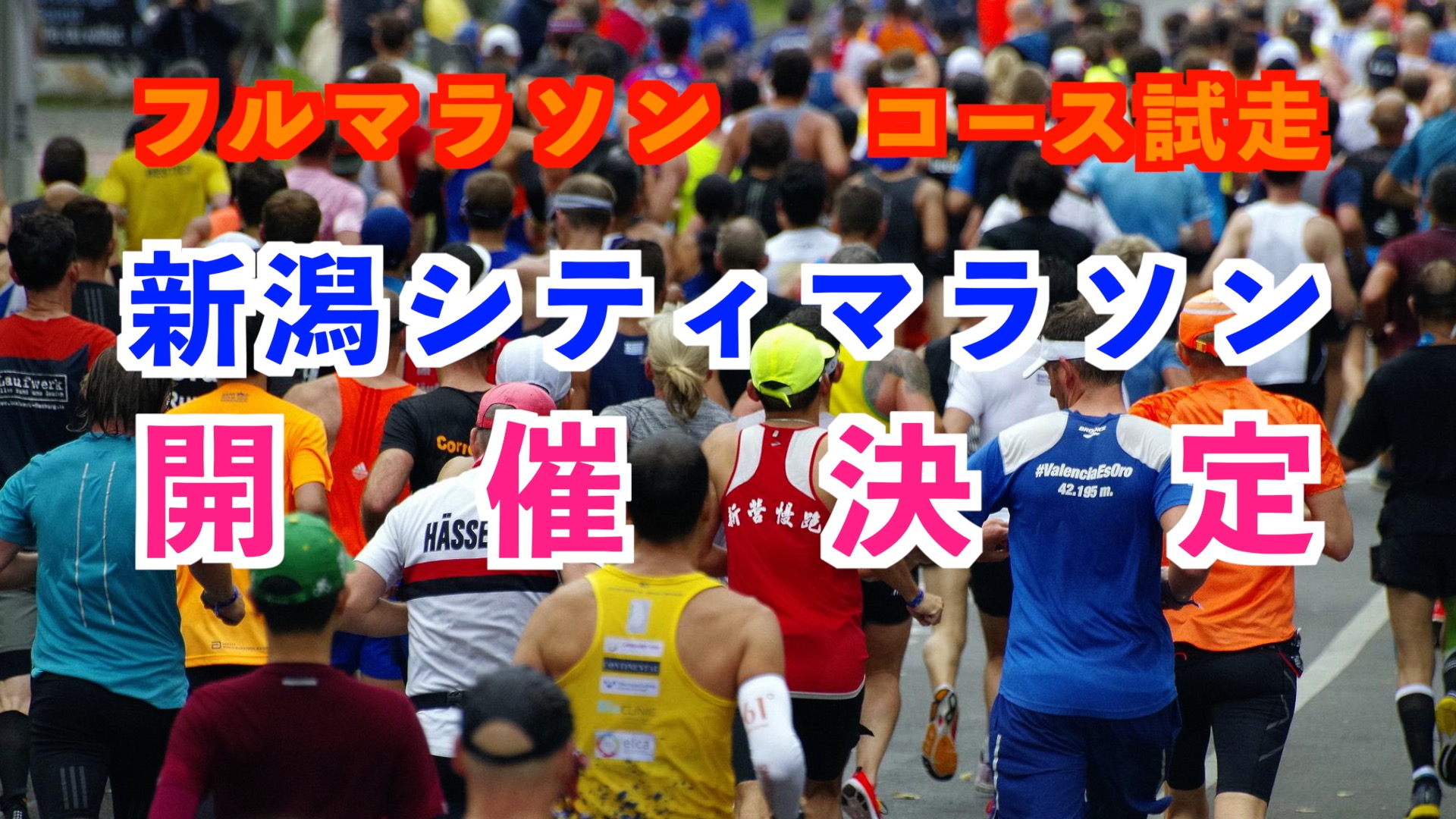 新潟シティマラソン【フルマラソン】のアイキャッチ画像